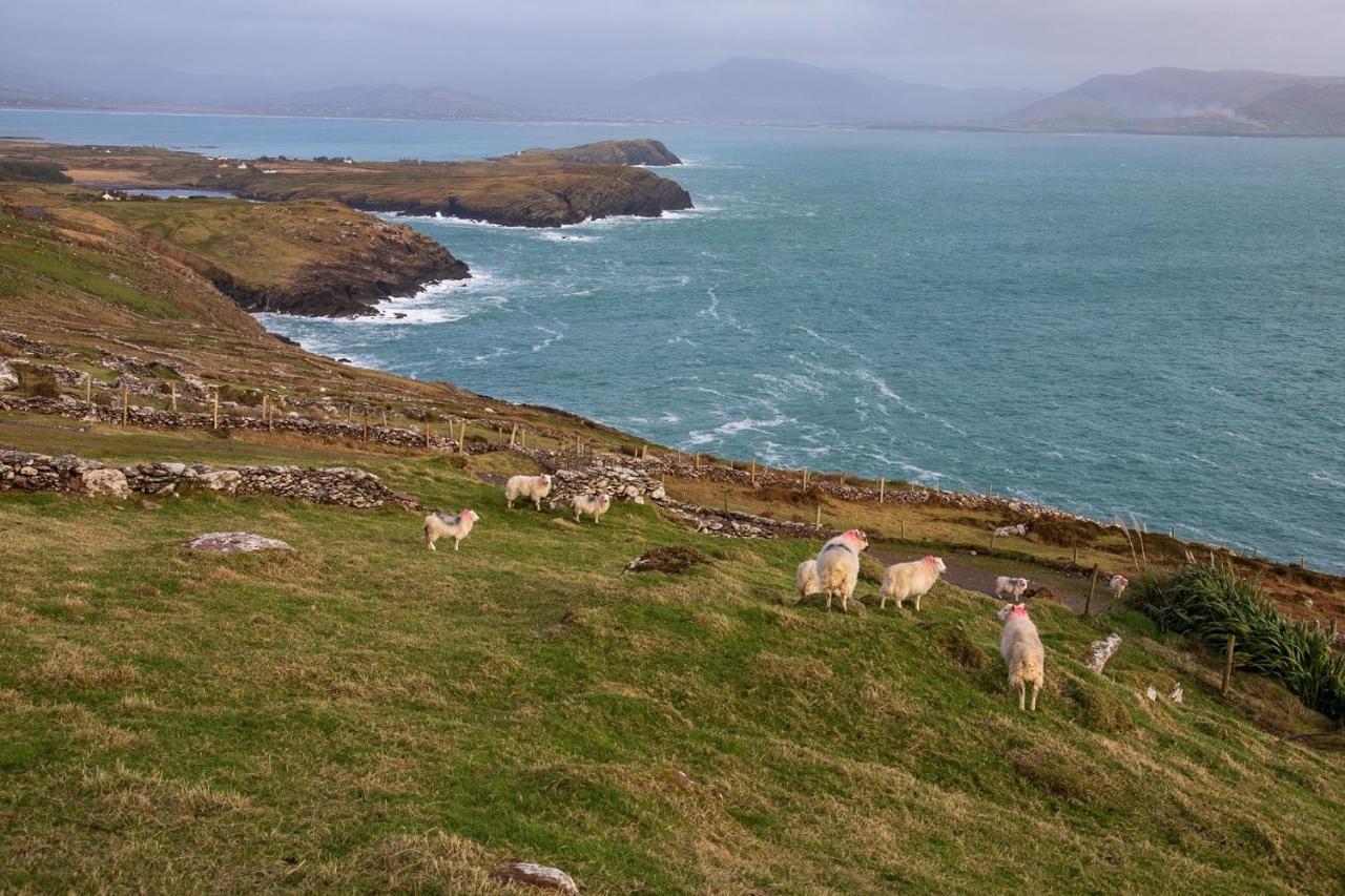 Skellig Port Accommodation - 1 Studio Bed Apartment Portmagee Exterior foto