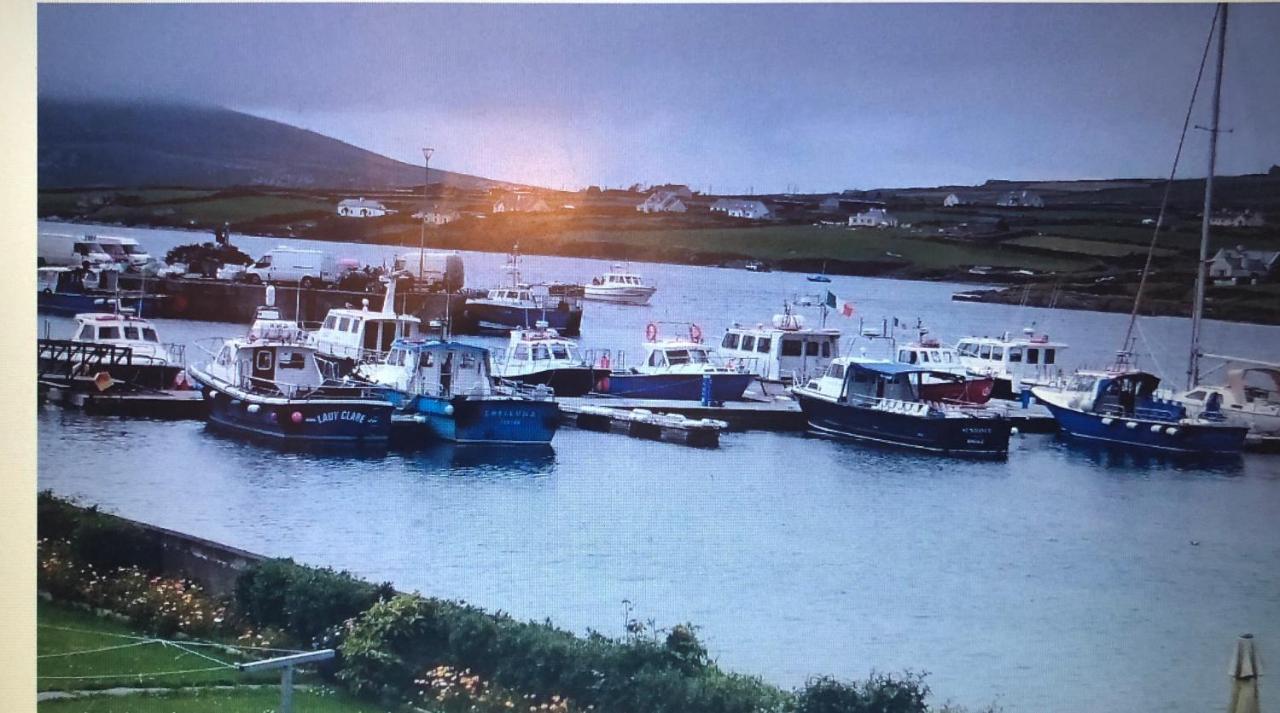 Skellig Port Accommodation - 1 Studio Bed Apartment Portmagee Exterior foto